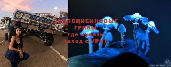 Альфа ПВП Заводоуковск